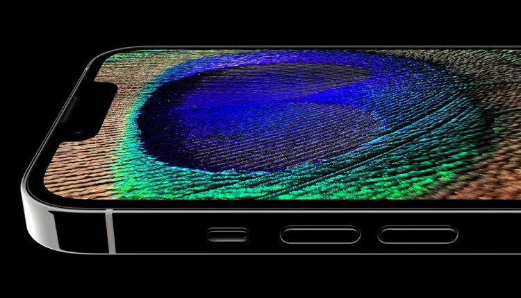 iPhone-13-Pro-Max-Display