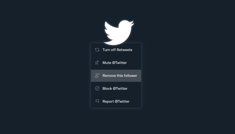 RemoveFollowerFeature